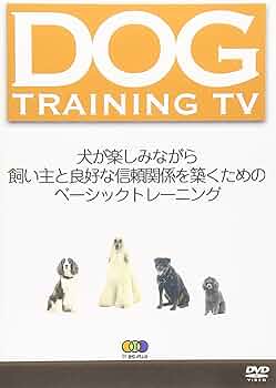 その他 DOG TRAINING TV [DVD] Amazon.co.jp: DOG TRAINING TV [DVD] : DVD